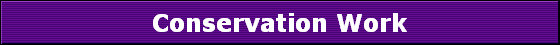 Conservation Work